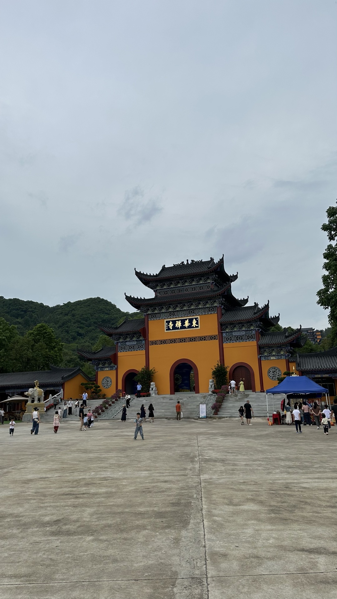 东华诗很好 - 图 4 共 9 张
